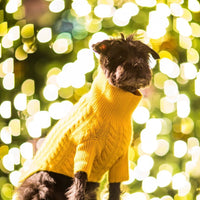 Cashmere Cable Knit Sweater