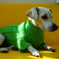 Cashmere Cable Knit Sweater