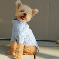 Cashmere Cable Knit Sweater