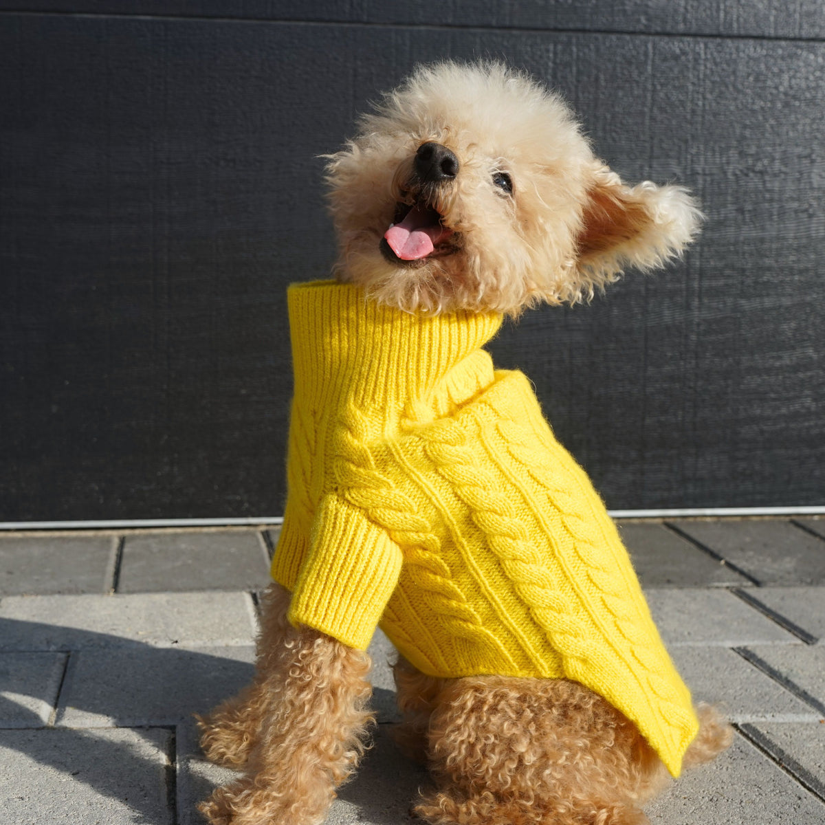 Cashmere Cable Knit Sweater – Ruby Rufus