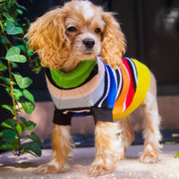 Cashmere Dog Sweaters