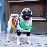 Cashmere Dog Sweaters