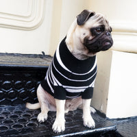 Cashmere Dog Sweaters