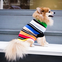 Cashmere Dog Sweaters