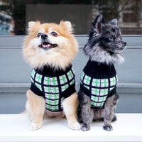 Cashmere Dog Sweaters, LUXURY DOG APPAREL