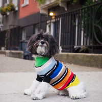 Cashmere Dog Sweaters