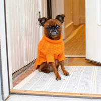 Cashmere Dog Sweaters, LUXURY DOG APPAREL