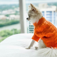 Cashmere Dog Sweaters, LUXURY DOG APPAREL