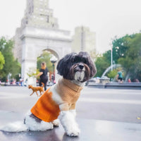 Cashmere Dog Sweaters