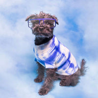 Cashmere Dog Sweaters