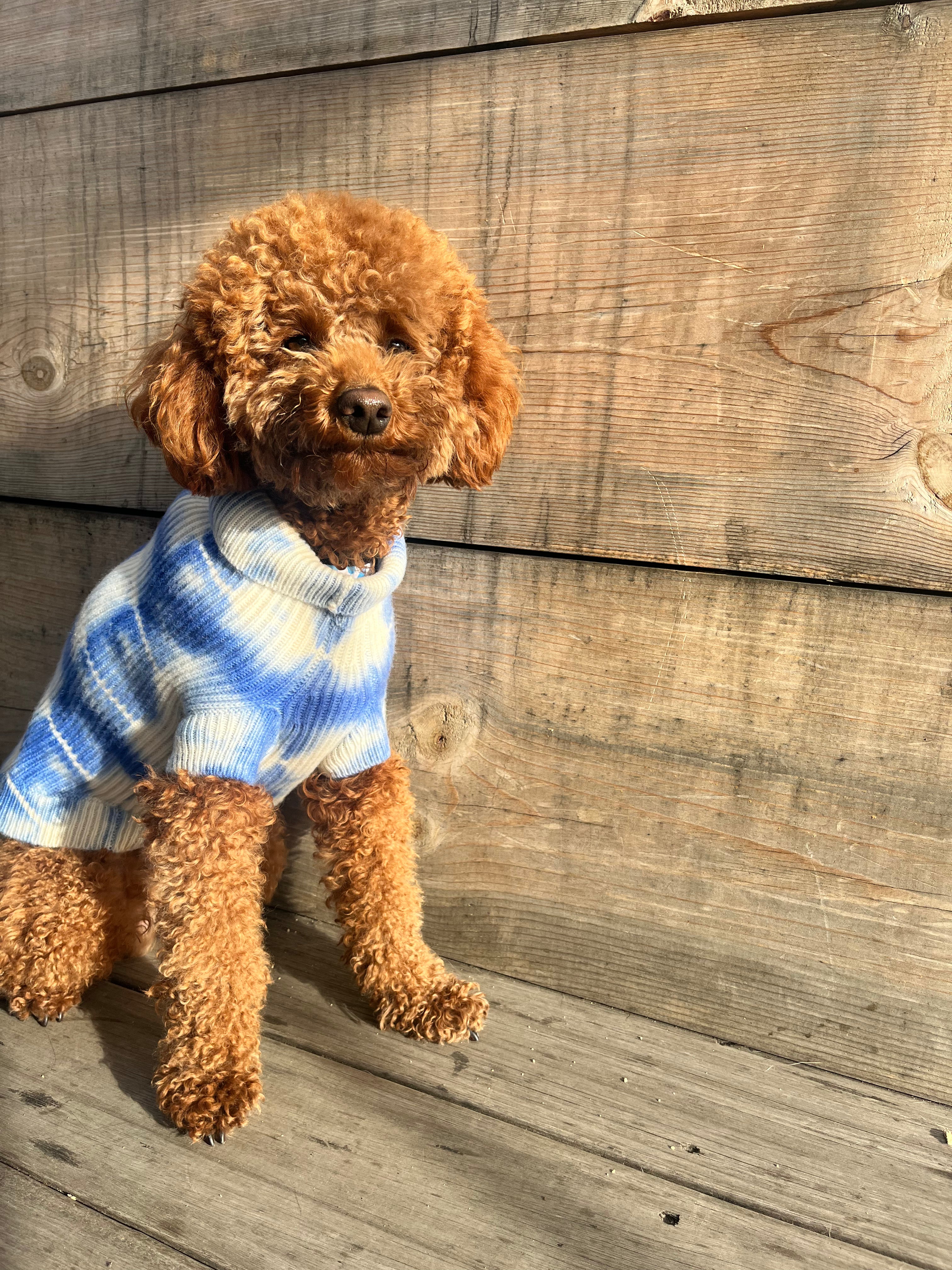 Toy online poodle sweaters