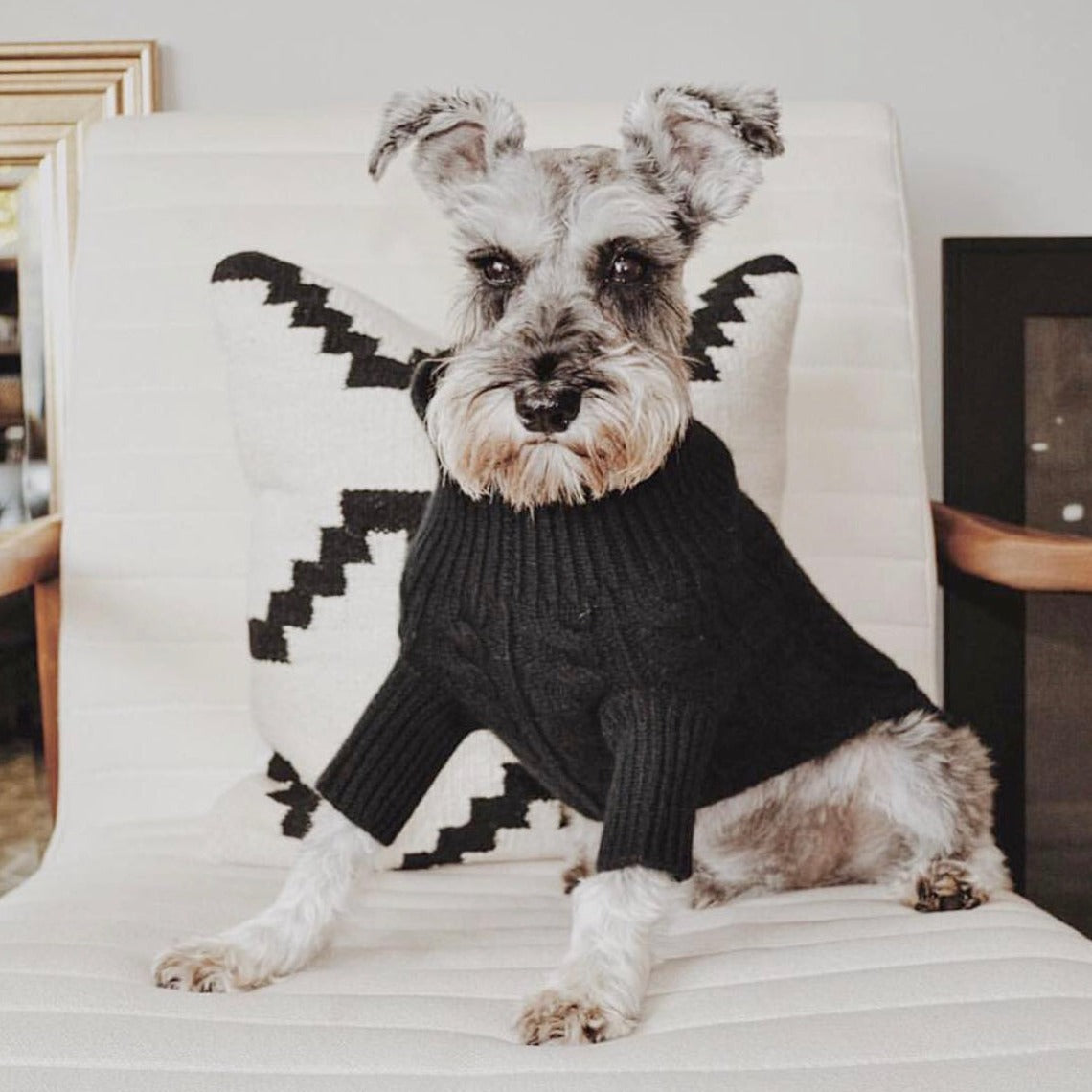 Fifi & Romeo 犬用ニットウェア ストライプ⭐︎S Cashmere Cable Knit Sweater – Ruby Rufus