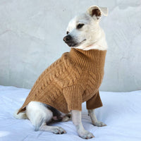 Cashmere Dog Sweaters, LUXURY DOG APPAREL