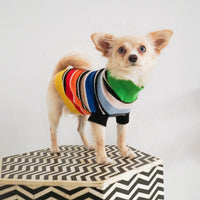 Cashmere Dog Sweaters