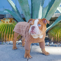 Cashmere Dog Sweaters, LUXURY DOG APPAREL