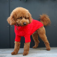 Cashmere Dog Sweaters, LUXURY DOG APPAREL