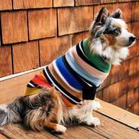 Cashmere Dog Sweaters