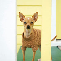 Cashmere Dog Sweaters, LUXURY DOG APPAREL