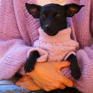 Cashmere Cable Knit Sweater