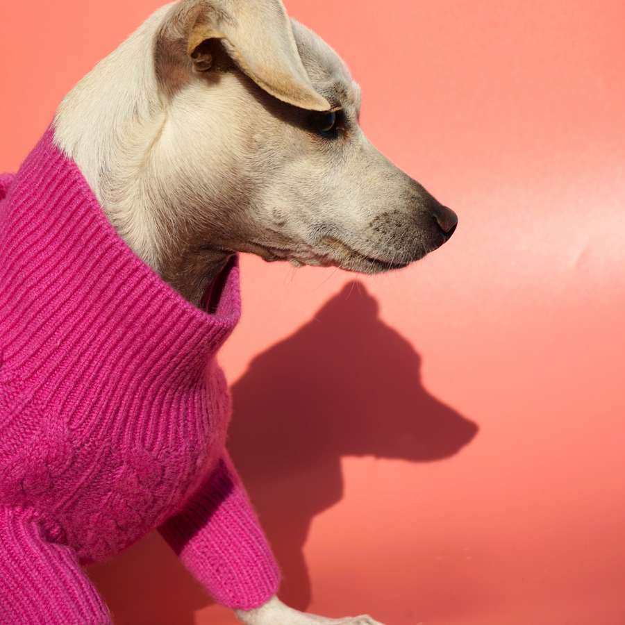 Cashmere Cable Knit Sweater