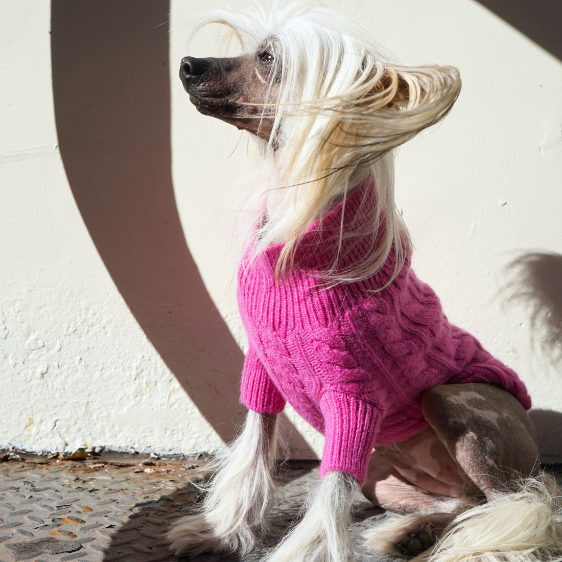 Cashmere Cable Knit Sweater