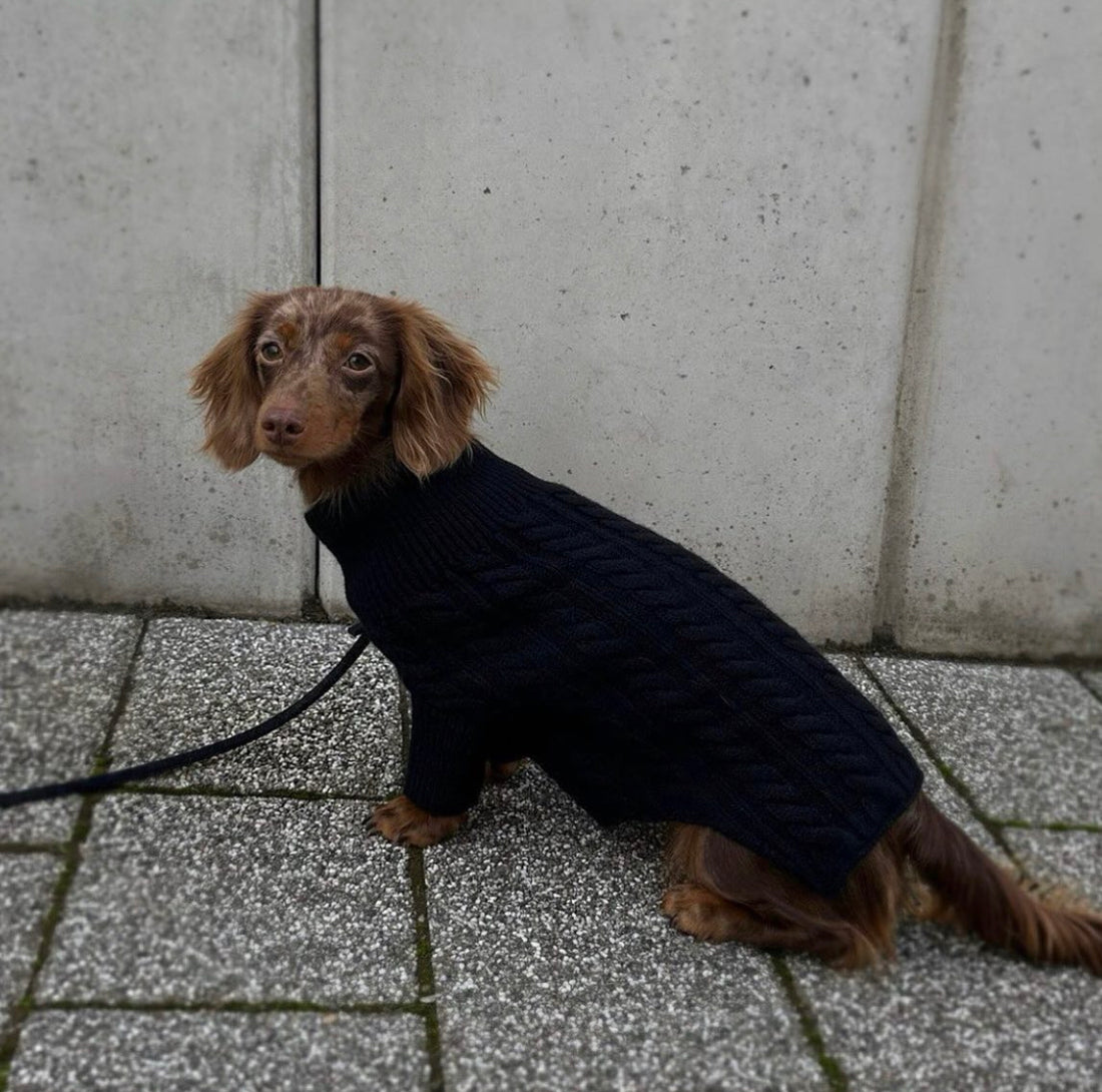 Cashmere Cable Knit Sweater