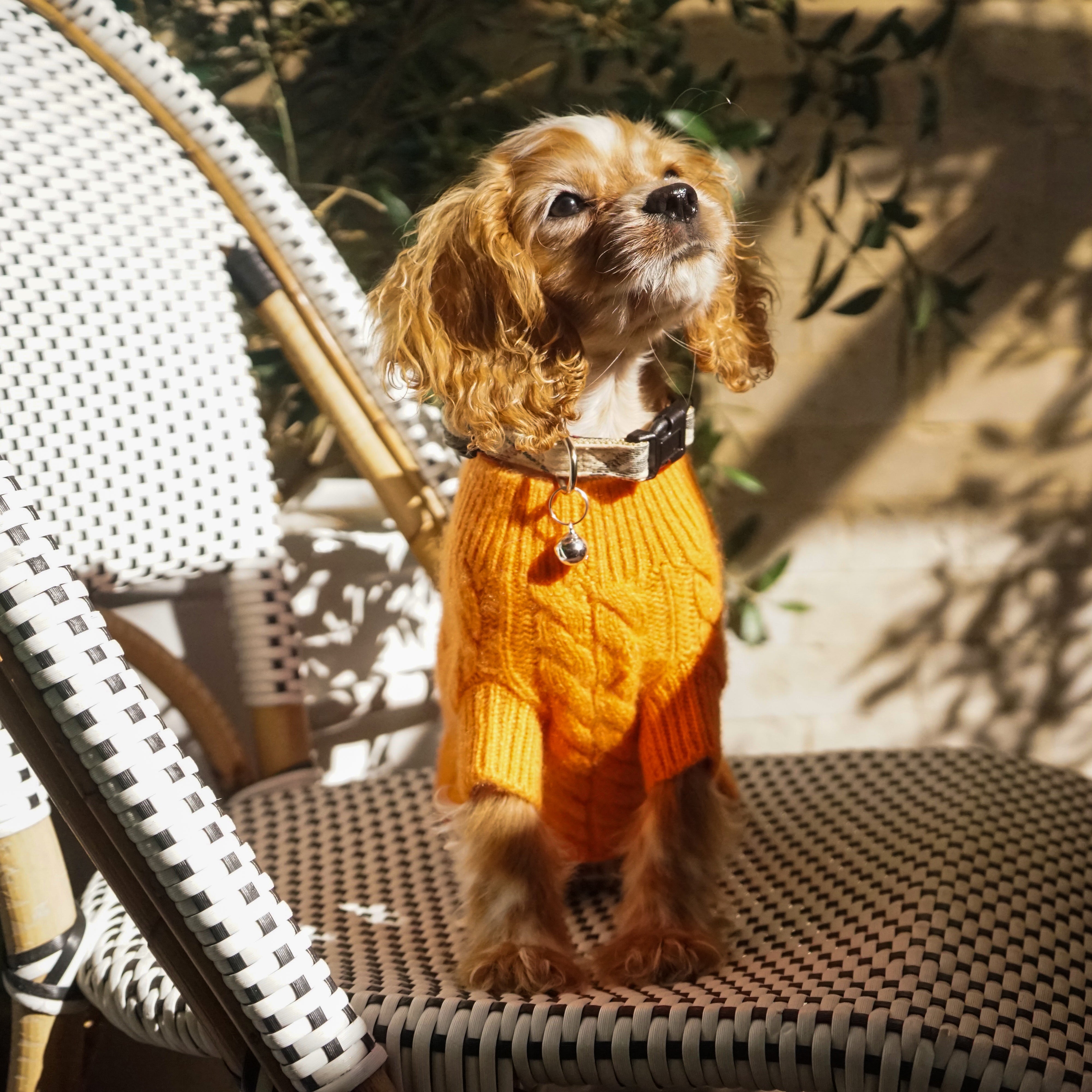 Cashmere Cable Knit Sweater – Ruby Rufus