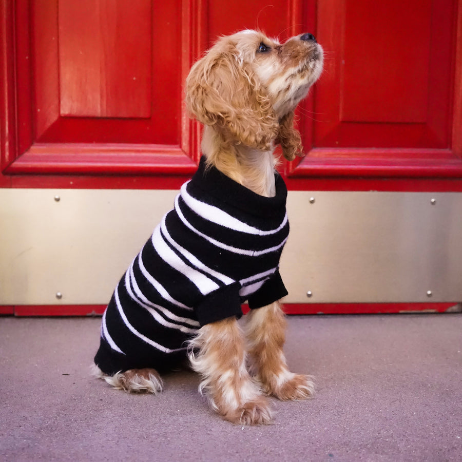 Cashmere Dog Sweaters