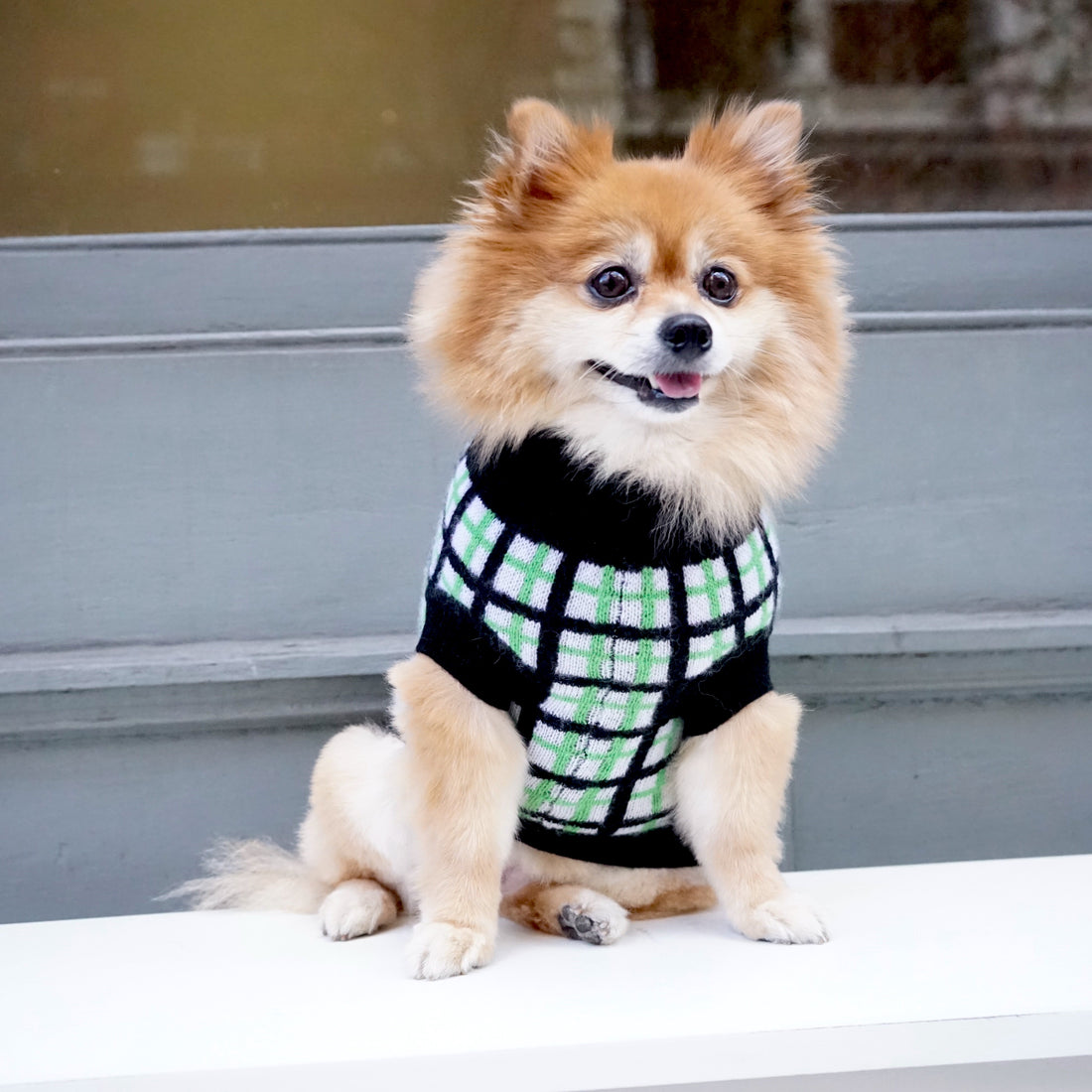 Cashmere Dog Sweaters, LUXURY DOG APPAREL