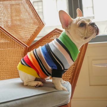Cashmere Dog Sweaters
