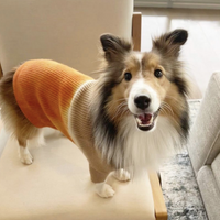 Cashmere Dog Sweaters