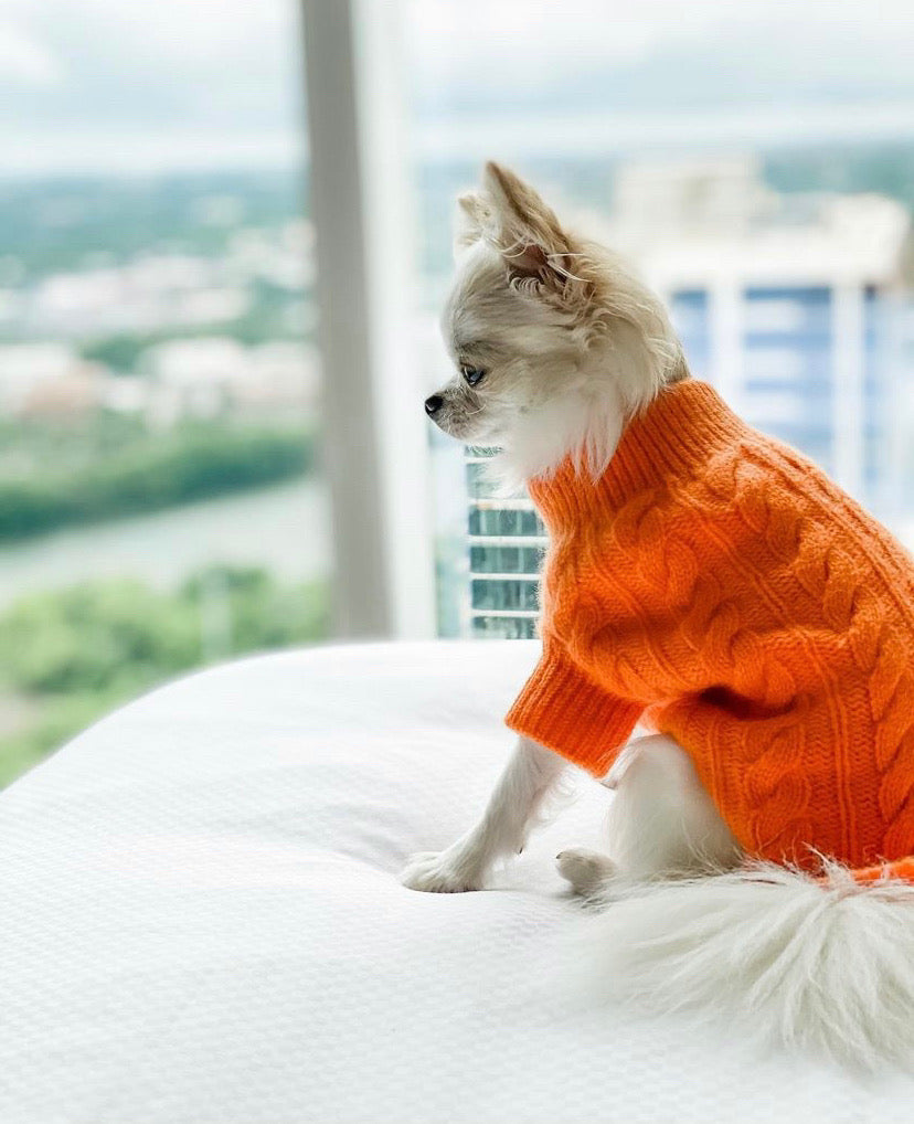Cashmere Dog Sweaters, LUXURY DOG APPAREL
