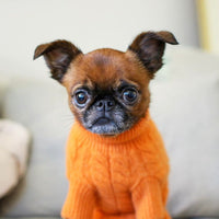 Cashmere Dog Sweaters, LUXURY DOG APPAREL
