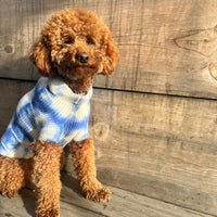 Cashmere Dog Sweaters