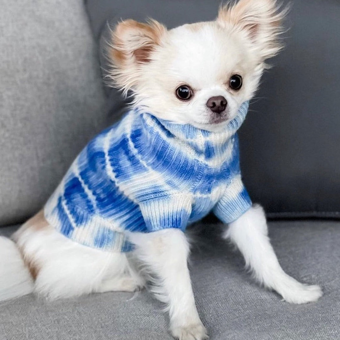 Cashmere Dog Sweaters