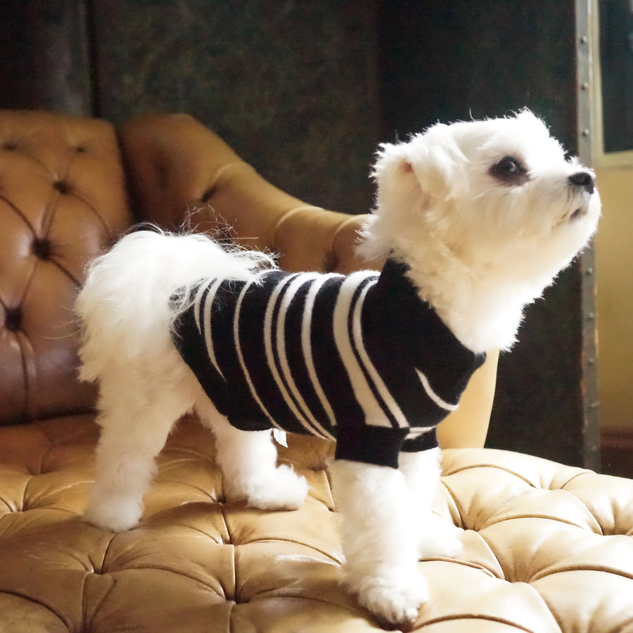 Cashmere Dog Sweaters