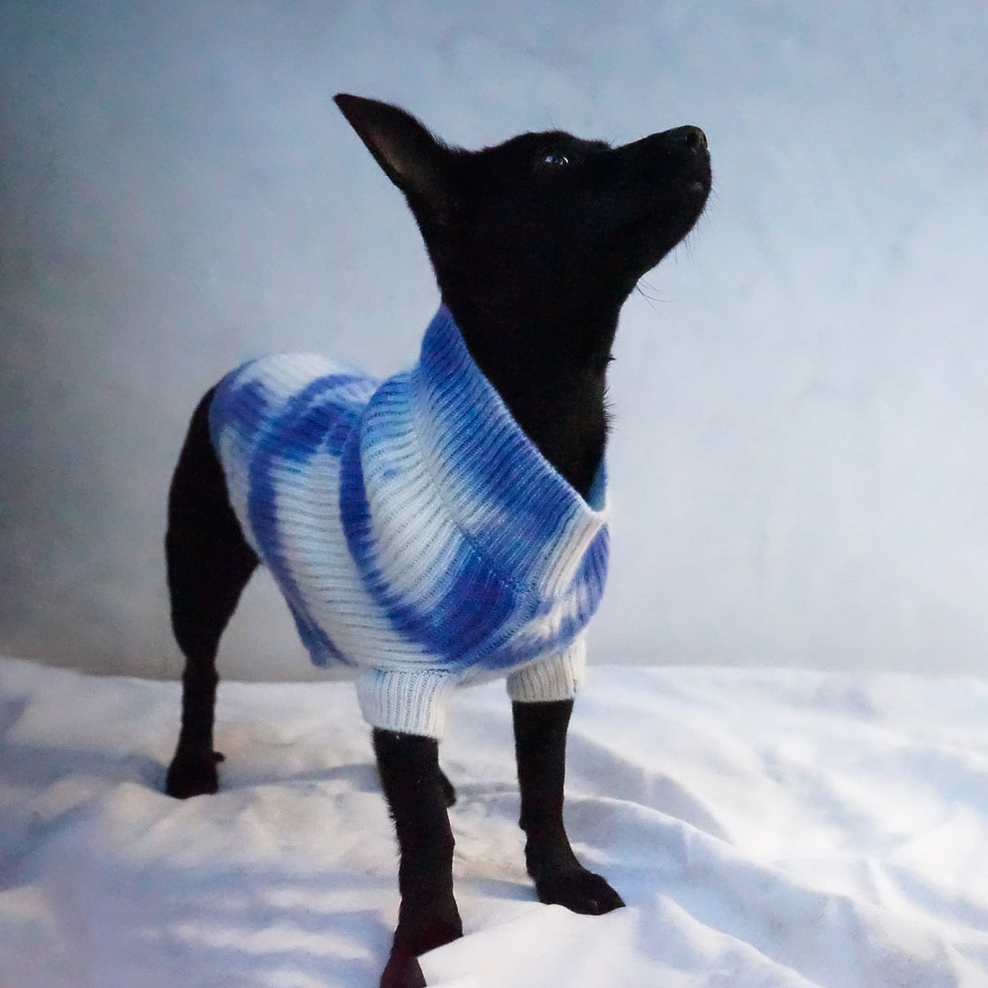 Cashmere Dog Sweaters