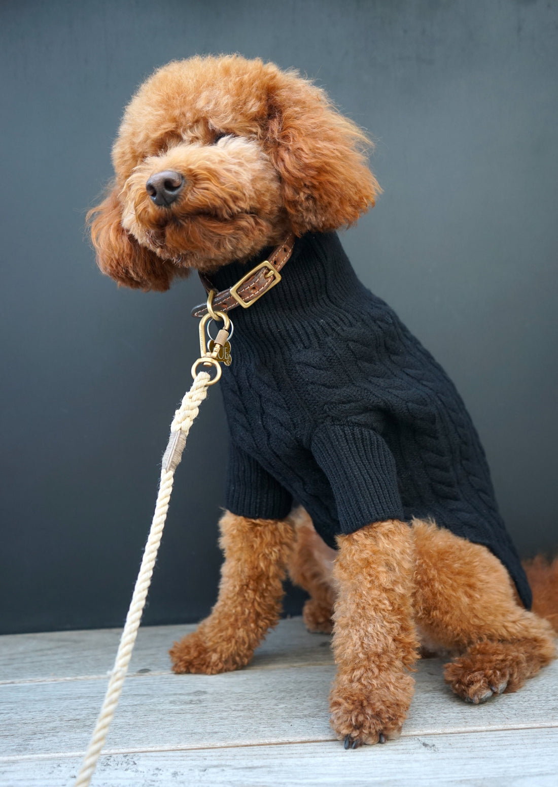 Cashmere Dog Sweaters, LUXURY DOG APPAREL