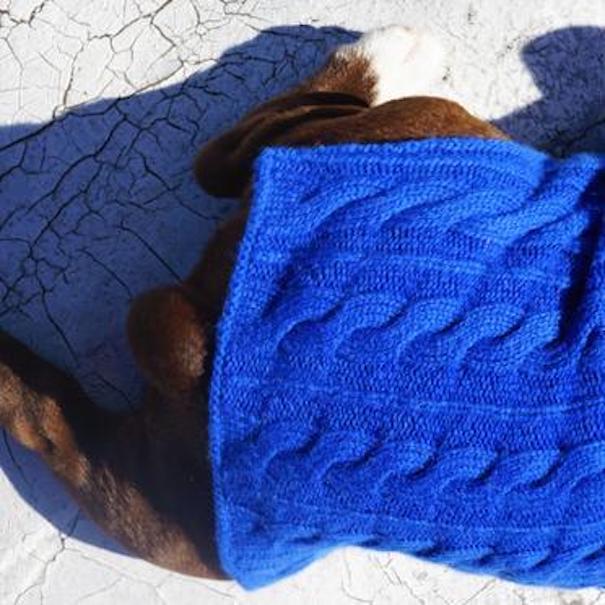 Cashmere Dog Sweaters