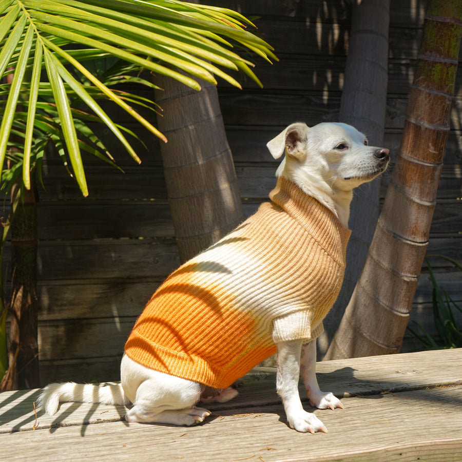 Cashmere Dog Sweaters