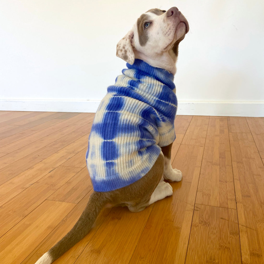 Cashmere Dog Sweaters