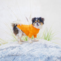 Cashmere Dog Sweaters, LUXURY DOG APPAREL