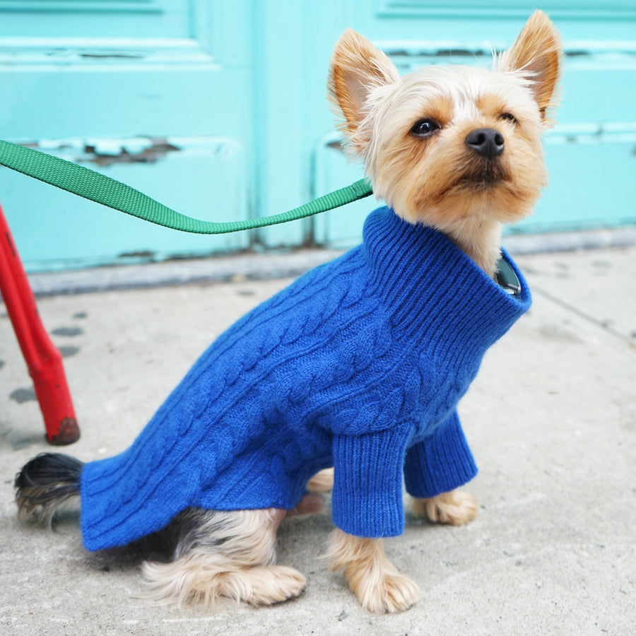 Cashmere Dog Sweaters
