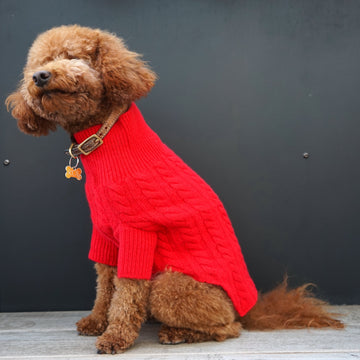 Cashmere Dog Sweaters, LUXURY DOG APPAREL