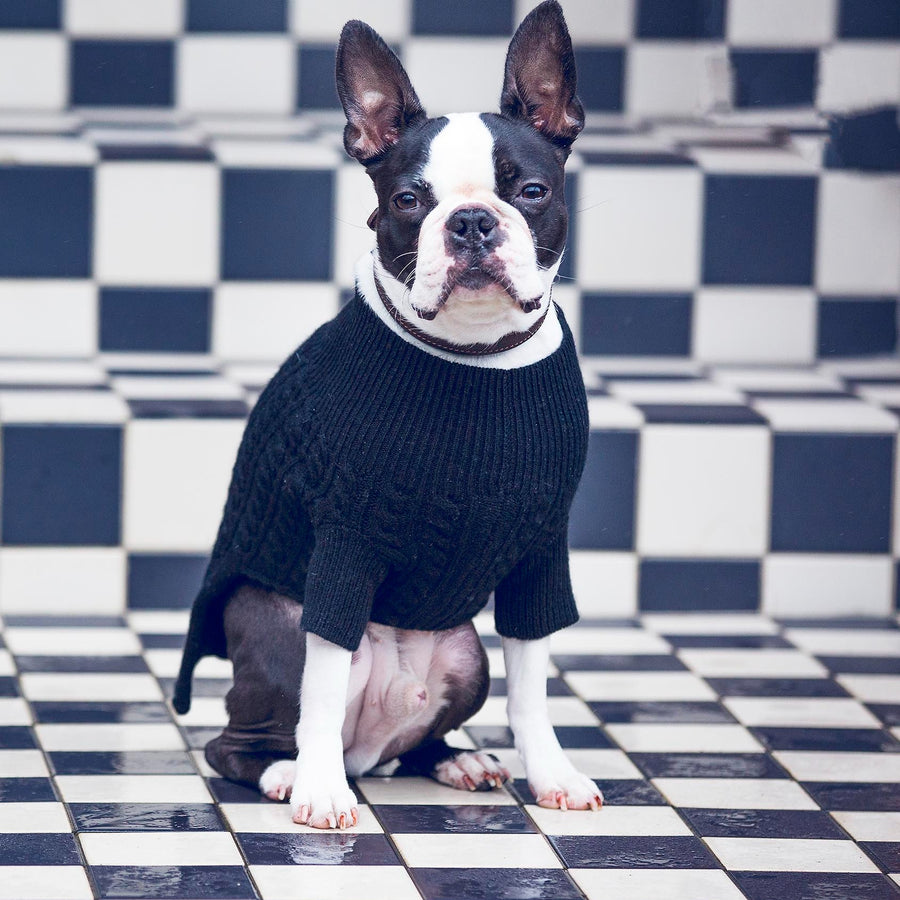 Cashmere Dog Sweaters, LUXURY DOG APPAREL