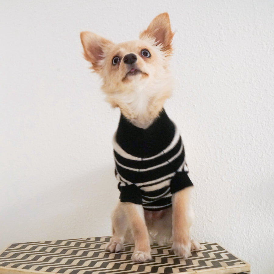 stripe cashmere dog sweater
