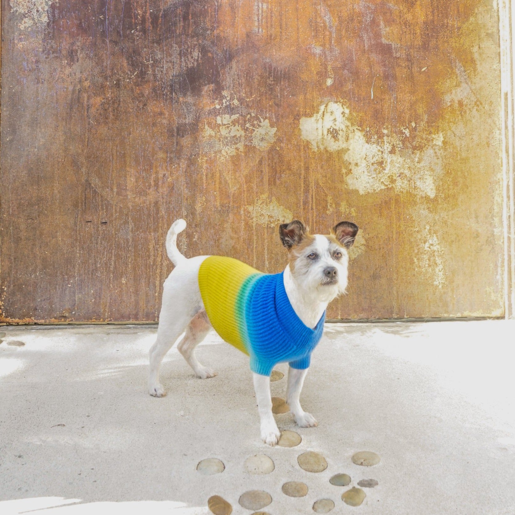 The MAJOR – Ruby Rufus