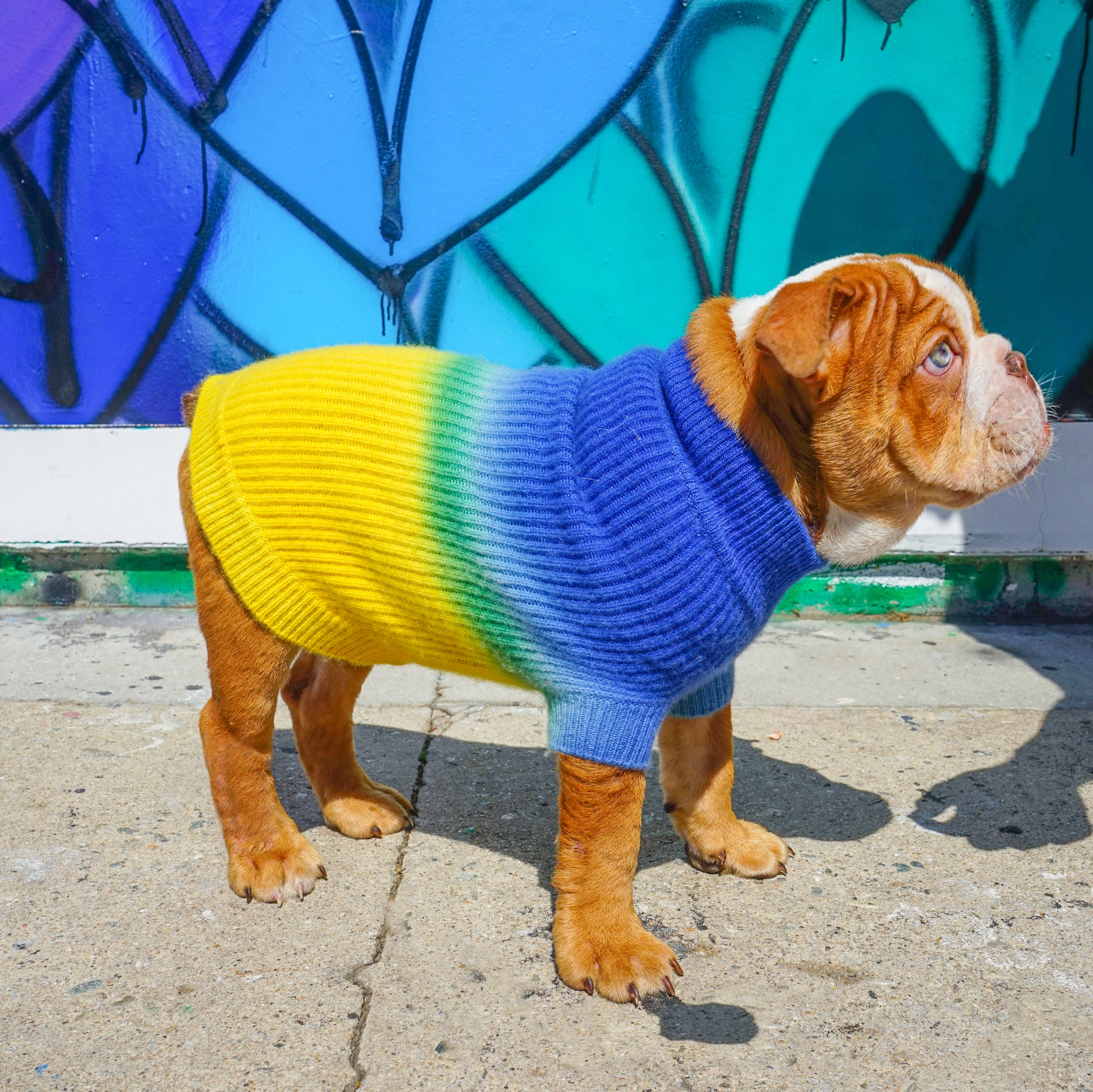 The MAJOR – Ruby Rufus