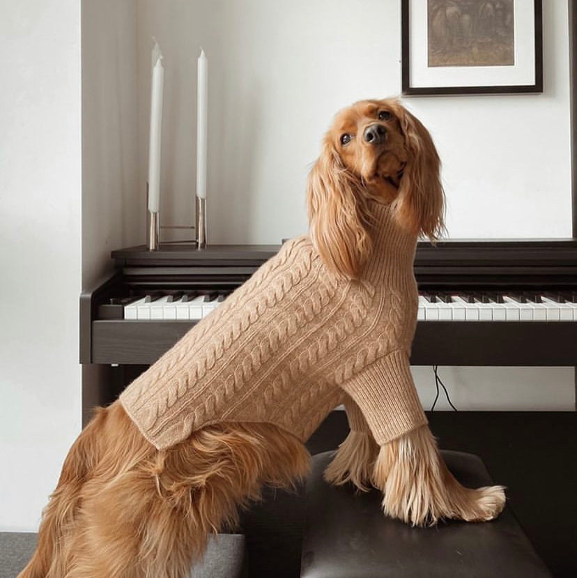 Cashmere Dog Sweaters, LUXURY DOG APPAREL