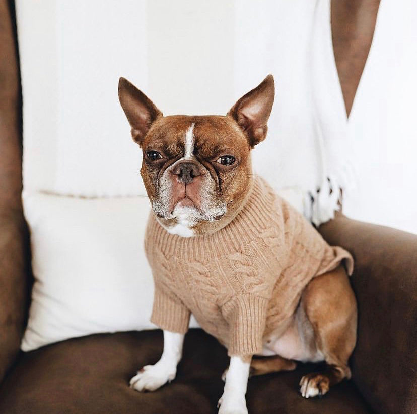 Cashmere Dog Sweaters, LUXURY DOG APPAREL